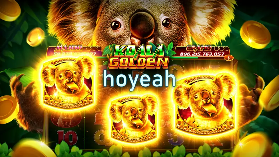 hoyeah APK